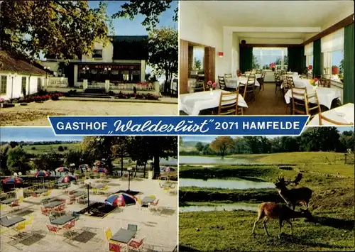 Ak Hamfelde in Holstein, Gasthof Waldeslust, Innenansicht