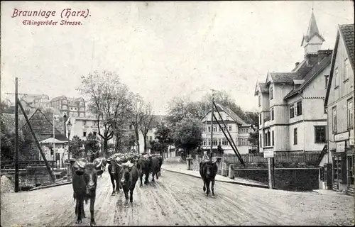 Ak Braunlage im Oberharz, Elbingeröder Straße