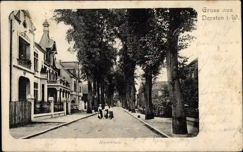 Ak Dorsten in Westfalen, Alleestraße