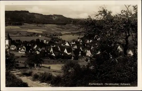 Ak Eschenbach Pegnitz Pommelsbrunn, Teilansicht