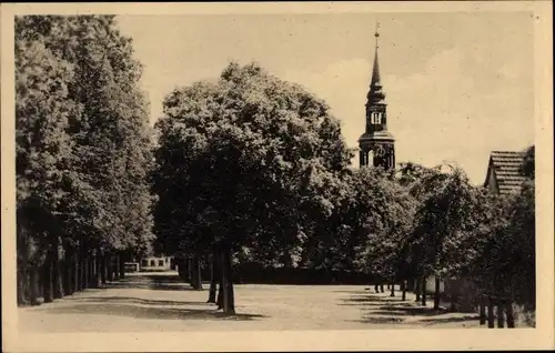 Ak Niegripp Burg bei Magdeburg, Lindenallee, Gasthof zum grünen Baum