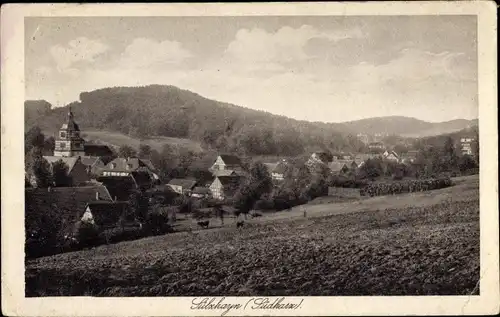 Ak Sülzhayn Ellrich Thüringen, Panorama