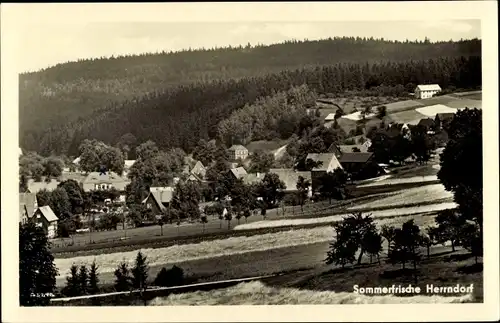 Ak Herrndorf Halsbrücke, Totale, Wald, Gasthof Hasse