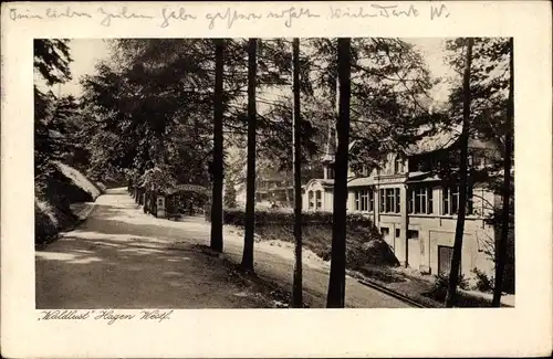 Ak Hagen in Westfalen, Cafe Restaurant Waldlust