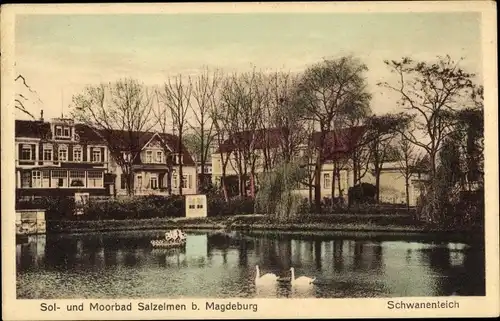 Ak Salzelmen Schönebeck an der Elbe, Schwanenteich