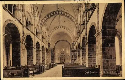 Ak Ribe Dänemark, Det Indre af Domkirken