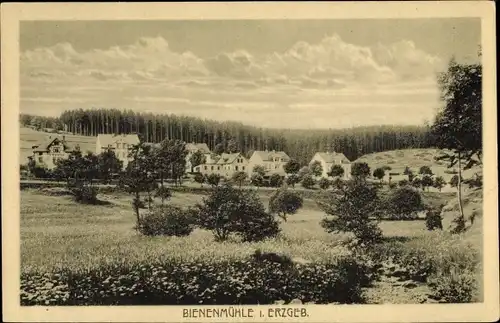 Ak Rechenberg Bienenmühle Erzgebirge, Teilansicht