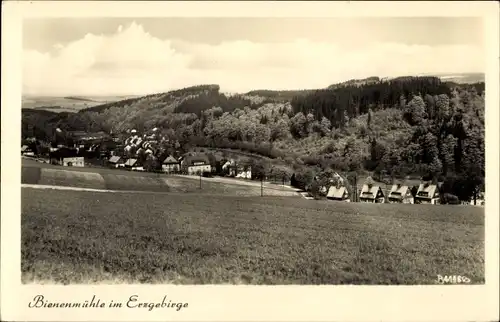 Ak Rechenberg Bienenmühle Erzgebirge, Teilansicht, Wald