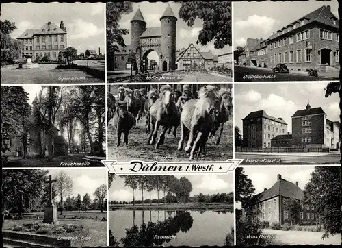 Ak Dülmen in Nordrhein Westfalen, Lüdinghauser Tor, Franz Hospital, Kreuzkapelle, Wildpferde