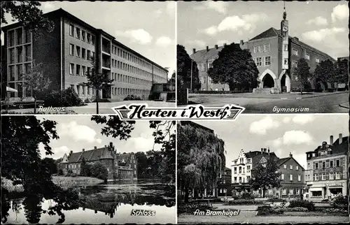 Ak Herten im Ruhrgebiet, Rathaus, Gymnasium, Schloss, Am Bramhügel