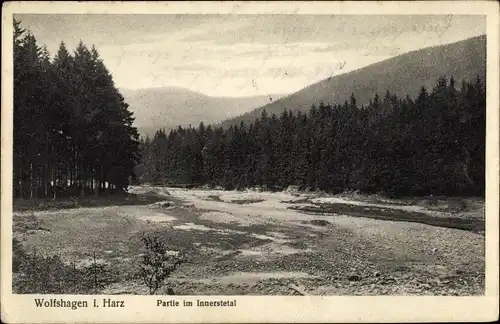 Ak Wolfshagen Langelsheim am Harz, Partie im Innerstetal