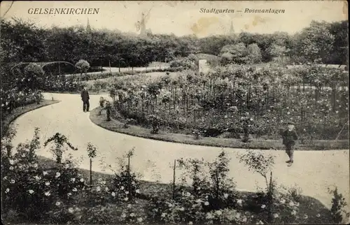 Ak Gelsenkirchen im Ruhrgebiet, Stadtgarten, Rosenanlagen