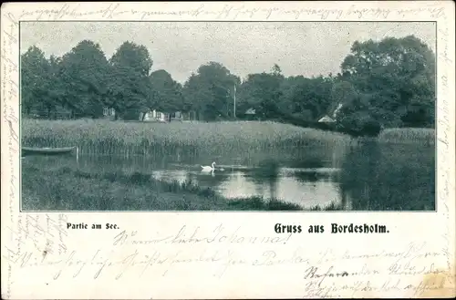 Ak Bordesholm in Holstein, Partie am See