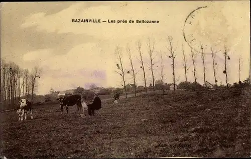 Ak Bazainville Yvelines, Le pres de Bellozanne