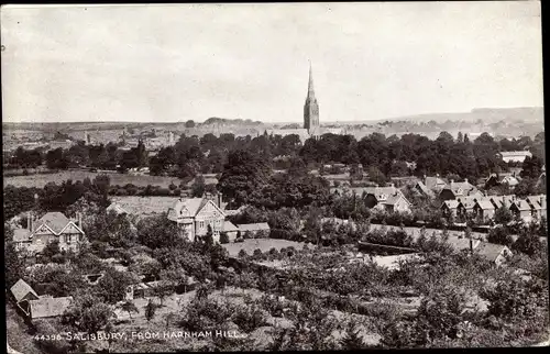 Ak Salisbury South West England, From Harnham Hill