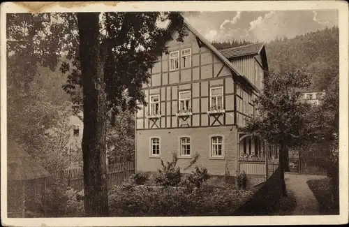 Ak Schwarzburg in Thüringen, Logierhaus Max Jahn I