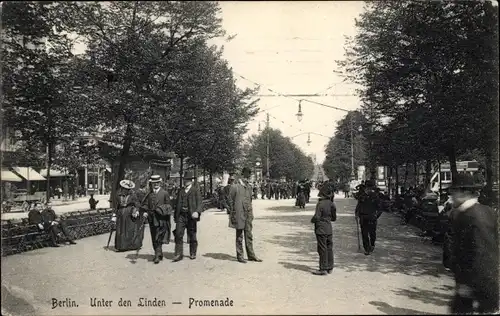 Ak Berlin Mitte, Unter den Linden, Promenade