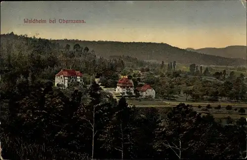 Ak Waldheim Obernzenn in Mittelfranken, Panorama