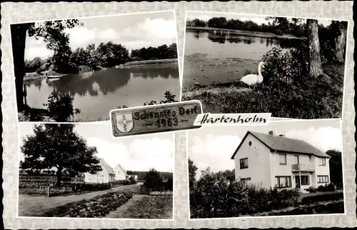 Wappen Ak Hartenholm Schleswig Holstein, Teichpartie, Stadtpartie