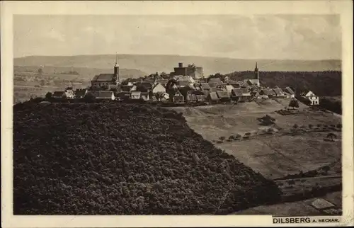 Ak Dilsberg Neckargemünd, Blick auf den Ort, Wald