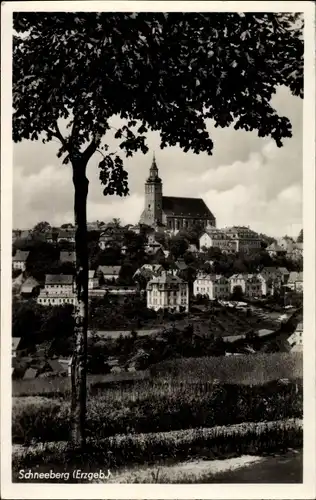 Ak Schneeberg im Erzgebirge, Teilansicht mit Kirche