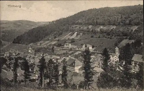 Ak Triberg im Schwarzwald, Teilansicht