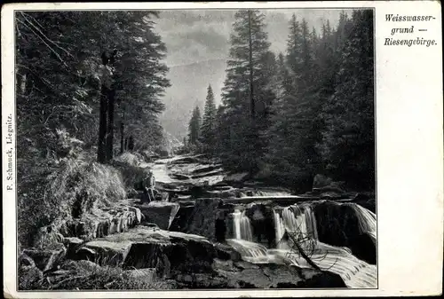 Ak Weißwassergrund im Riesengebirge, Im Hintergund Wald