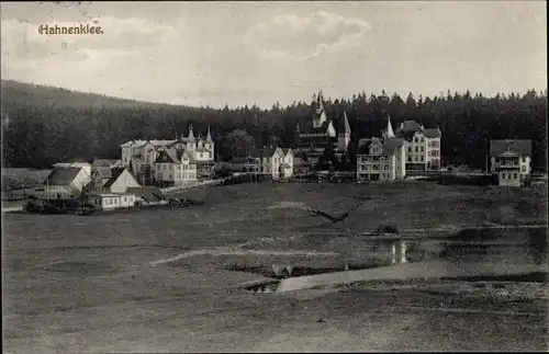 Ak Hahnenklee Bockswiese Goslar im Harz, Teilansicht, Villen, Wald