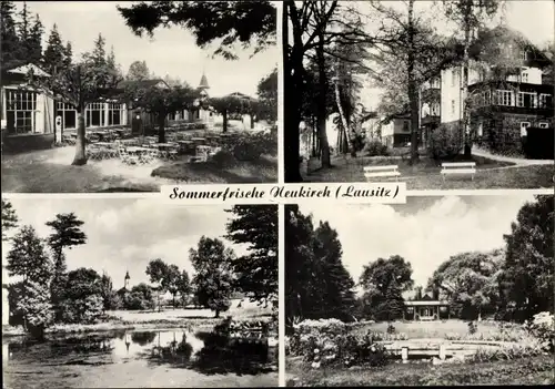 Ak Neukirch in der Lausitz, Gasthaus, Seepartie, Villen