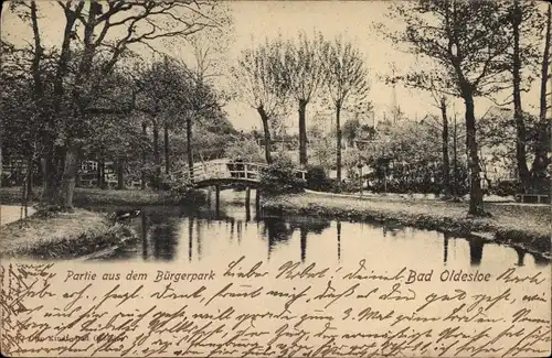 Ak Bad Oldesloe in Schleswig Holstein, Partie aus dem Bürgerpark