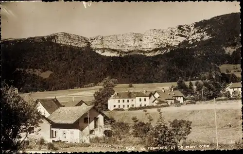 Ak La Ferriere Vendee, Le Mont d'Or