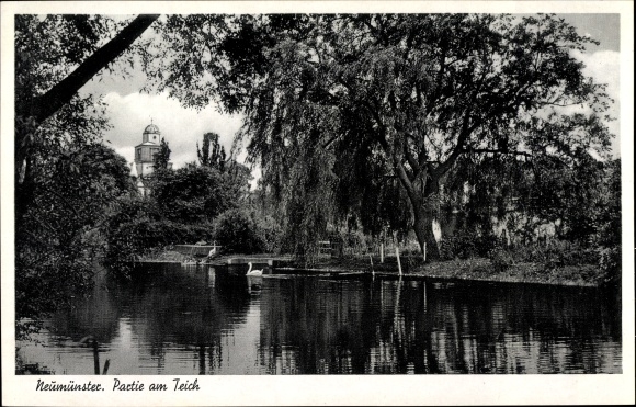 Ak Neumünster in Holstein, Partie am Teich Nr. 2840362 oldthing