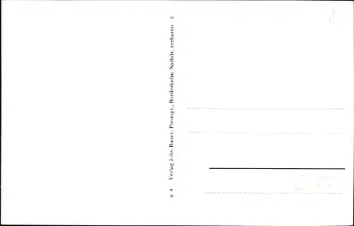 Ak Neumünster in Holstein, Partie am Teich