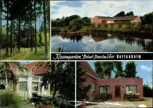 Ak Hartenholm Schleswig Holstein, Rosengarten, Privat Pension Voss