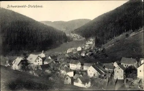 Ak Schwarzwald Stutzhaus Luisenthal im Thüringer Wald, Panorama