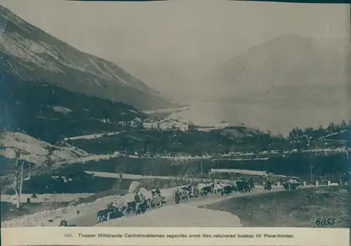 Foto Italien, Deutsche Soldaten, I. WK, Trainkolonne, Viehzug, Requirierung