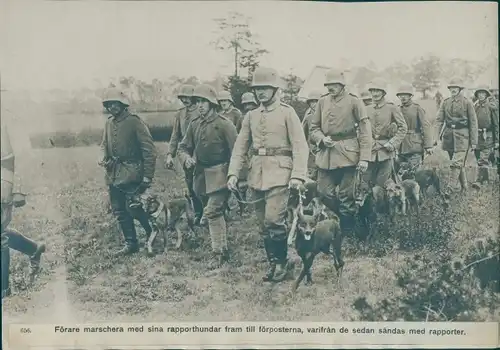 Foto Deutsche Soldaten, I. WK, Hundestaffel