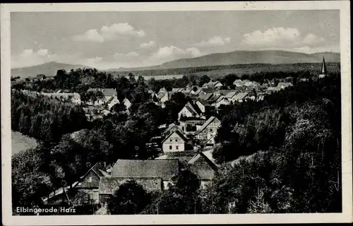 Ak Elbingerode Oberharz am Brocken, Panorama