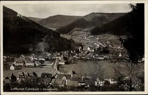 Ak Calmbach Bad Wildbad im Schwarzwald, Panorama