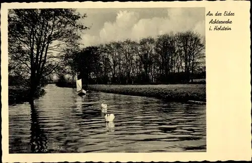 Ak Achterwehr in Schleswig Holstein, An der Eider, Segelboot, Schwäne