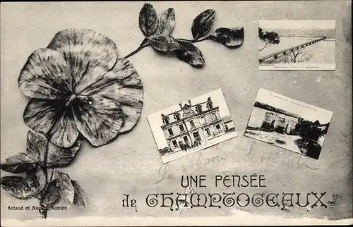Ak Champtoceaux Maine-et-Loire, Souvenir, Stiefmütterchen