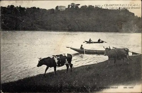 Ak Champtoceaux Maine-et-Loire, La Loire et le Chateau Oriental