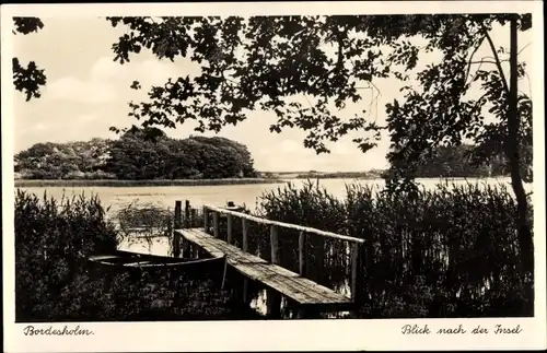 Ak Bordesholm in Holstein, Blick nach der Insel, Steg, Ruderboot