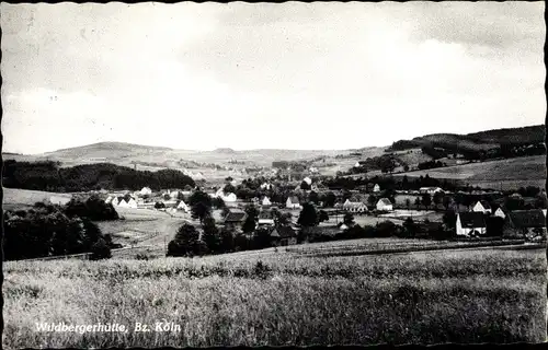 Ak Wildbergerhütte Rheinsberg, Totalansicht