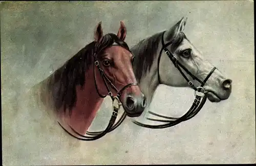 Künstler Ak Tierportrait, Zwei Pferde
