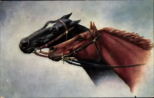 Künstler Ak Zwei Pferde, Tierportrait