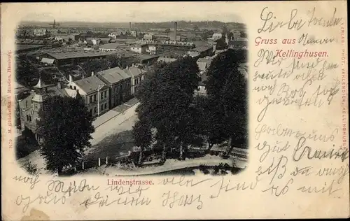 Ak Kellinghusen in Holstein, Lindenstraße, Fliegeraufnahme