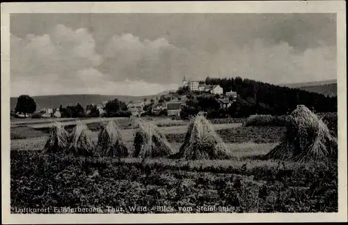 Ak Finsterbergen Friedrichroda im Thüringer Wald, Blick vom Steinbühl