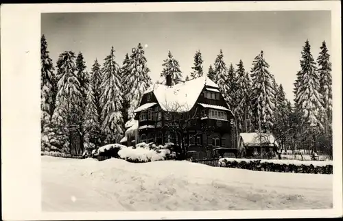 Foto Ak Kipsdorf Altenberg im Erzgebirge, Gasthaus, Wald, Winter