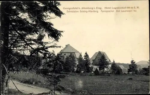 Ak Zinnwald Georgenfeld Altenberg im Erzgebirge, Hotel Lugsteinhof